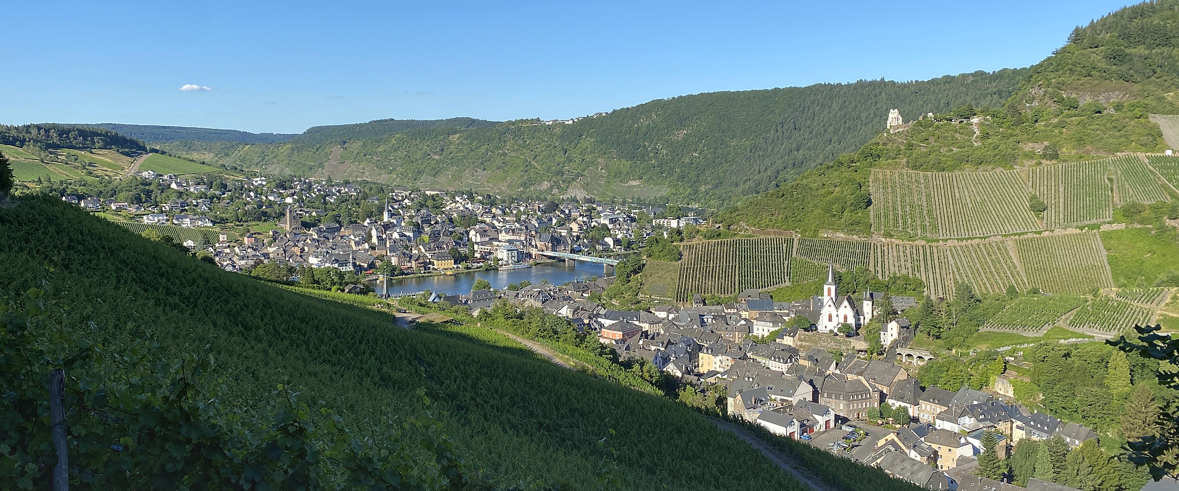 Mosel, Weinberge und Ortsansicht bei Traben-Trarbach